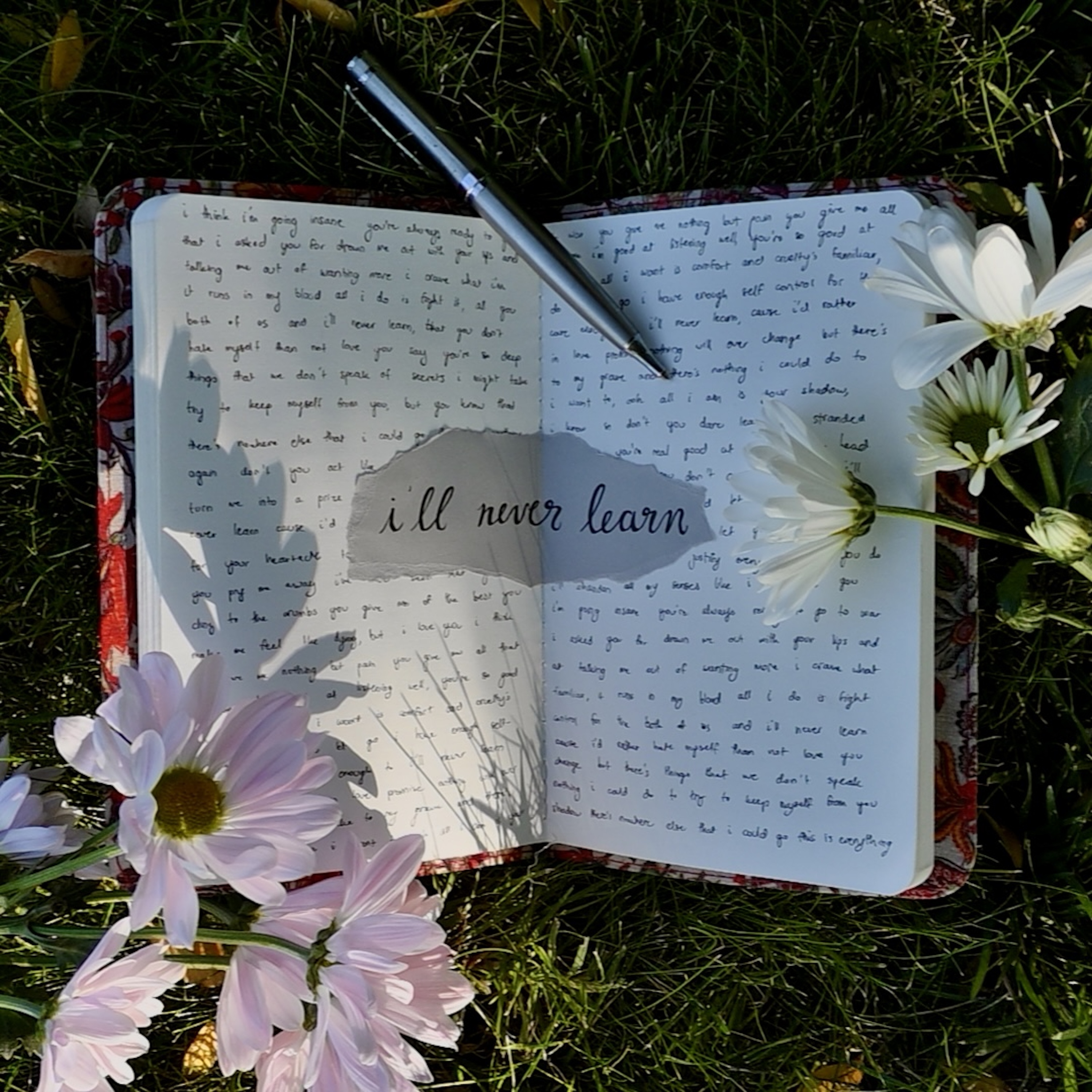 i'll never learn cover