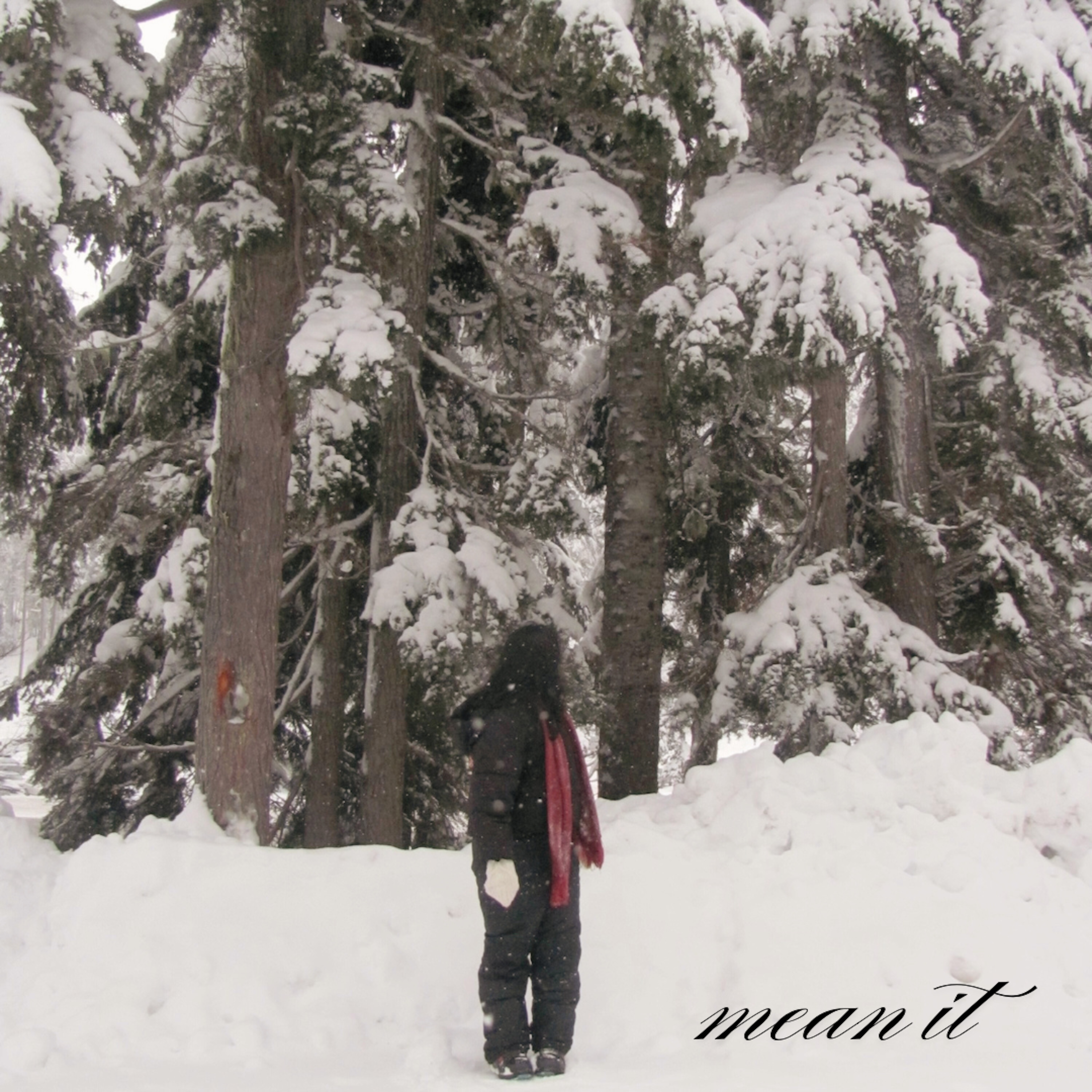mean it cover